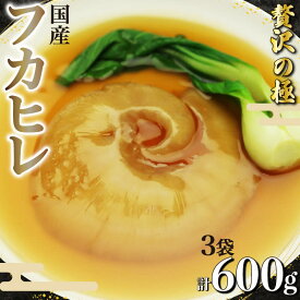 【ふるさと納税】 フカヒレ 姿煮 スープ 200g× 3個 計 600g セット 気仙沼産 国産 天然 吉切鮫 湯煎 簡単調理 冷凍 真空パック 本格 中華 料理 おかず 高級 食材 レトルト コラーゲン グルメ 珍味 鱶鰭 ギフト 贈答用 贈り物 プレゼント 静岡県 藤枝市