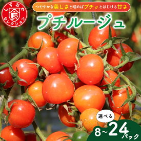 【ふるさと納税】 【選べる容量】 ミニ トマト プチルージュ 150g × 8から24 パック 野菜 やさい 新鮮 旬の野菜 プチトマト ミニトマト 産地直送 高糖度 甘い プチ フルーツ ソース ジュース ケチャップ に 静岡県 藤枝市