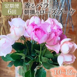 yӂ邳Ɣ[Łz 6 o ԑ u[P E 3 KN  ΂ pt[ [Y  Mtg v[g j ̓ Ǝ 蕨  LO  t[AWg 