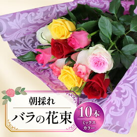 【ふるさと納税】 バラ 10 本 ミックスカラー 花束 ブーケ 朝摘み 新鮮 薔薇 花 ばら ローズ 生花 ギフト プレゼント 祝い 贈り物 贈答 記念日 静岡県 藤枝市