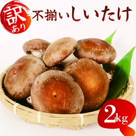 【ふるさと納税】 訳あり 不揃い 生しいたけ 2kg しいたけ シイタケ 椎茸 朝収穫 食べ応え 肉厚 うまみ 菌床 栽培期間中 農薬不使用 国産 新鮮 自然 栄養 ビタミンD 低カロリー 健康 料理 煮物 炒め物 キノコ 贈り物 ギフト 藤枝市 静岡県