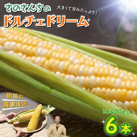 【ふるさと納税】 【先行予約】 【令和8年6月上旬頃より順次発送】 とうもろこし 6本入り ドルチェドリーム トウモロコシ さのさんち 野菜 夏野菜 旬 甘い 安心 安全 JGAP認証農場 静岡県 藤枝市