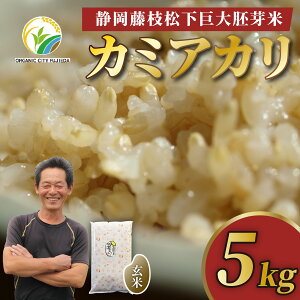 yӂ邳Ɣ[Łz  5kg J~AJ  ÉY   Y I[KjbN }sY  ͂  Hi ĐH p  É }s