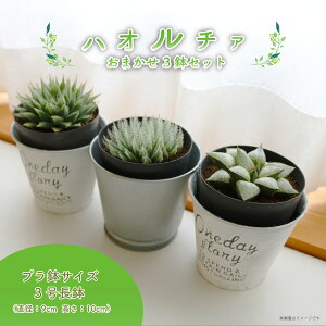 yӂ邳Ɣ[Łz A nI`A 3 Zbg ϗtA v ~jTCY CeA i`  킢 SҌ  | K[fjO A ĕ ȒP 蕨 v[g 