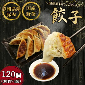 【ふるさと納税】 餃子 120個 国産野菜 国産豚肉 冷凍 大きめ ぎょうざ ギョウザ ギョーザ おつまみ 冷凍食品 惣菜 中華 小分け 業務用 おかず ビール 家族 パーティー 宴会 簡単 時短 調理 手作り 美味しい おすすめ 点心 焼き餃子 水餃子 藤枝市 静岡県