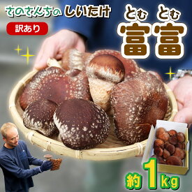 【ふるさと納税】 訳あり 生 しいたけ 富富（とむとむ）約1kg さのさんち 椎茸 シイタケ 肉厚 ジューシー きのこ 静岡県 藤枝市 人気 野菜 旬 JGAP認証農場