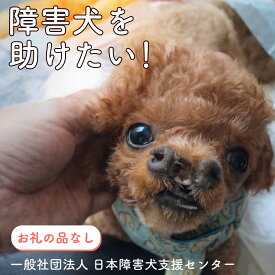 【ふるさと納税】 【返礼品なし】 【金額選べる】 障害犬 保護犬の支援 保護 支援 里親 譲渡 治療 餌 犬 動物愛護 藤枝市 静岡県