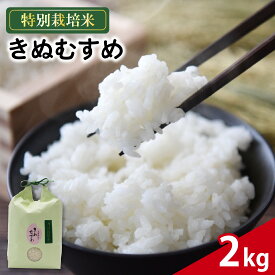 【ふるさと納税】 米 きぬむすめ 2kg 農家直送 特別栽培米 精米 お米 中生種 新生活 贈り物 人気米 おにぎり ご飯 白米 コメ 贈答 静岡県 藤枝市