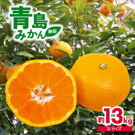 【ふるさと納税】 みかん 13kg 青島 特大 ミカン 果物 国産 フルーツ 柑橘 静岡県産 2026年1月中旬より順次出荷 蜜柑 ビタミン 美味しい 旬 贈答用 ギフト 冬の味覚 甘い 新鮮 産地直送 家族向け おやつ デザート 正月 果汁たっぷり 藤枝市 静岡県