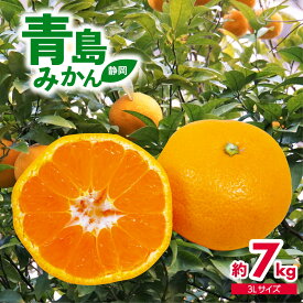 【ふるさと納税】 2026年1月中旬より順次出荷 静岡県産 特大 青島 みかん 3L 約 7kg 果物 国産 フルーツ 柑橘 蜜柑 ミカン ビタミン 贈答 お土産 ギフト 産地直送 甘い 旬 冬 ジュース 家族 健康 美容 栄養 贈り物 プレゼント 藤枝市 静岡県