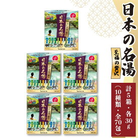 【ふるさと納税】 入浴剤 セット バスクリン 5箱 セット にごり湯 日本名湯 温泉 お風呂 日用品 バス用品 温活 ギフト 贈答 バスソルト リラックス 美肌 保湿 肩こり 腰痛 半身浴 自宅スパ 血行促進 リラクゼーション 藤枝市 静岡県
