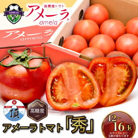 【ふるさと納税】 【選べる配送月】 【先行予約】 トマト アメーラ 12-16玉 糖度 7.5以上 甘い 野菜 セット 産地直送 旬 とまと 糖度 フルーツトマト 贈答用 ギフト 特産品 農産物 プレミアム 高級 朝採れ 新鮮 家庭用 贈り物 藤枝市 静岡県