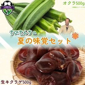 【ふるさと納税】 生キクラゲ500g オクラ500g セット 計1kg きのこ キノコ キクラゲ きくらげ おくら 野菜 生きくらげ やさい さのさんち JGAP認証農場 国産 調理 中華 スープ 肉巻き 天ぷら 夏 静岡県 藤枝市