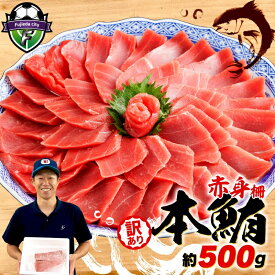 【ふるさと納税】 訳あり 本まぐろ 赤身 約500g マグロ 冷凍 解凍 中トロ 鮪 漬け丼 海鮮 刺身 ユッケ 濃厚 極上 選べる 配送月 不揃い 規格外 家庭用 おすすめ オンライン決済 高タンパク 低カロリー 鉄分 DHAオメガ3 ビタミンB群 本鮪 天然 国産 魚介 藤枝市 静岡県