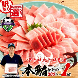 【ふるさと納税】 訳あり 本マグロ 大トロ 約300g 中トロ 約400g 赤身 500g 鮪 冷凍 本鮪 漬け丼 刺身 魚 鮮魚 海鮮 食品 まぐろ 不揃い 規格外 柵 魚介類 マグロ ネギトロ 10000円 1万円 高級 グルメ 贅沢 マグロセット 三種盛り 養殖 本格なマグロ 藤枝市 静岡県