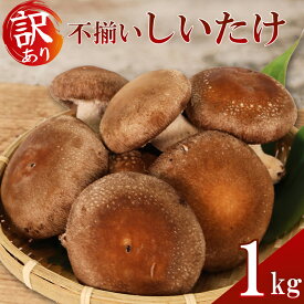 【ふるさと納税】 訳あり 不揃い 生しいたけ 1kg 生 しいたけ きのこ シイタケ キノコ 椎茸 大ぶり 栽培期間中 農薬不使用 食べ応え 厚い 肉厚 うまみ 国産 香り 濃厚 旨味 栄養豊富 ビタミンD 食物繊維 低カロリー 鍋 炒め物 煮物 グリル 炊き込みご飯 藤枝市 静岡県