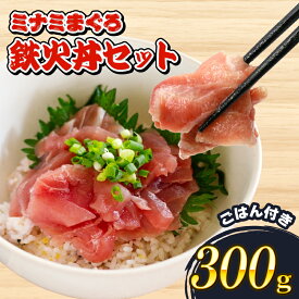 【ふるさと納税】 ミナミ マグロ 鉄火丼 セット 中トロ 切り落とし 丼 セット 酢飯 付き 南鮪 南まぐろ ごはん 加納商店 刺身 海鮮 グルメ マグロ丼 まぐろ丼 まぐろ 刺し身 海鮮丼 魚介 新鮮 美味しい おいしい 贈り物 ギフト 藤枝市 静岡県