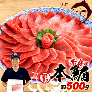 yӂ邳Ɣ[Łz 󂠂 {܂ Ԑg 500g }O  g  Ђ Ⓚ CN hg bP Iׂ z  ӂ邳Ɣ[Ń}O s KiO  IC ^