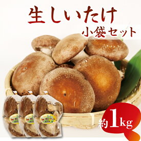 【ふるさと納税】 生しいたけ 小分け袋 約 1kg シイタケ 椎茸 朝収穫 食べ応え 肉厚 うまみ 菌床栽培 裁判期間中 農薬不使用 きのこ 国産 新鮮 贅沢 栄養豊富 料理 煮物 焼き物 炒め物 味噌汁 パスタ 健康 ビタミンD 低カロリー 藤枝市 静岡県