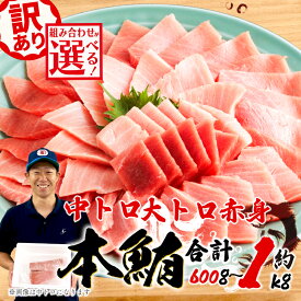 【ふるさと納税】 本まぐろ 中とろ 大とろ 赤身 セット 約 600g-1kg 不定型柵 鮪 まぐろ 中トロ 大トロ 冷凍 漬け マグロ ユッケ 海鮮 おいしい 刺身 高級魚 グルメ 贈り物 食べ比べ 藤枝市 静岡県
