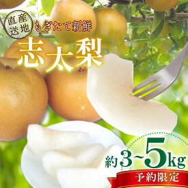 【ふるさと納税】 【先行予約：2026年8月以降出荷】 梨 3から5kg 志太梨 果物 フルーツ 産地 直送 家庭用 なし 藤枝産梨 甘い梨 貴重種梨 夏 限定梨 旬の梨 静岡県 藤枝市