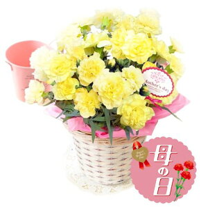 yӂ邳Ɣ[Łz ys\z ̓ɁI J[l[V A CG[ 5  A K[fjO 蕨 Mtg ̓ A 2026N5珇 ICό É 