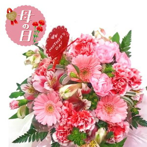 �y�ӂ邳�Ɣ[�Łz �y��s�\��z ��̓��ɁI ���� �J�[�l�[�V���� �A�����W�����g �s���N �� ���蕨 ���j�� �A�� �G�� �t�����[ �M�t�g ��̓� 2026�N5�����珇������ �I�����C�����ό��� �É�