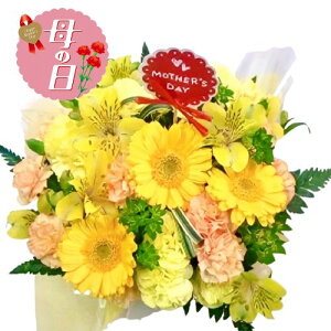 �y�ӂ邳�Ɣ[�Łz �y��s�\��z ��̓��ɁI ���� �J�[�l�[�V���� �A�����W�����g �C�G���[ �� ���蕨 ���j�� �A�� �G�� ���� �t�����[ �M�t�g ��̓� 2026�N5�����珇������ �I�����C�����ό�