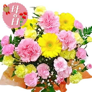 �y�ӂ邳�Ɣ[�Łz �y��s�\��z ��̓��ɁI ���� �A�����W�����g B �s���N �n �� ���蕨 ���j�� �A�� �G�� ���� �t�����[ �M�t�g ��̓� 2026�N5�����珇������ �I�����C�����ό��� �É��� ��