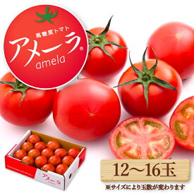 【ふるさと納税】 トマト アメーラ 12-16玉 発送時期が選べる 糖度 7.5 以上 甘い 野菜 セット 産地 直送 おすすめ 人気 旬野菜 送料無料 とまと 発送 ふるさと納税トマト ふるさと納税野菜 静岡県 藤枝