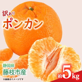 【ふるさと納税】 先行予約 2026年1月下旬発送 訳あり ポンカン 5kg M-2L みかん ミカン 果物 国産 フルーツ 柑橘 数量限定 静岡県産 蜜柑 不揃い ビタミン 美味しい 冬 旬 贈答用 ギフト 家庭用 おやつ 産地直送 通販 藤枝市 静岡県