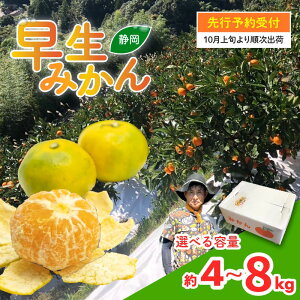 yӂ邳Ɣ[Łz s\ 2025N10{ Iׂe ݂ 4kg - 8kg ÉY ʕ t[c k  ~J r^~ Y G { Â 蕨 Mtg Ƒ  N e h