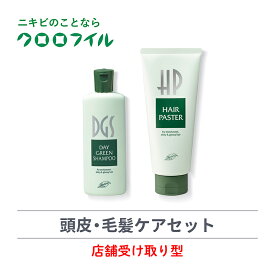 【ふるさと納税】 店舗受け取り型 頭皮毛髪ケアセット デイグリーンシャンプー 200ml 1個 ヘヤーパスター 200g 1個 2点セット ヘアケア 髪ケア トリートメント クロロフイル 日興製薬 医薬部外品 ダメージヘア 美髪 ボリュームアップ うるおい 補修 藤枝市 静岡県