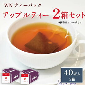 【ふるさと納税】 アップルティー ティーバッグ 40袋×2箱 紅茶 りんご フルーツティー 果物 フレーバーティー 静岡 三井農林 WN ホワイトノーブル さわやか お茶 ドリンク 健康 ギフト プレゼント 贈り物 おいしい 美味しい おすすめ 藤枝市 静岡県