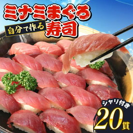 【ふるさと納税】 【選べる中トロ・赤身枚数】寿司 マグロ 南 まぐろ 20貫 セット 中トロ 赤身 ミナミまぐろ 握り 南鮪 南まぐろ ミナミマグロ すし 加納商店 静岡県 藤枝市