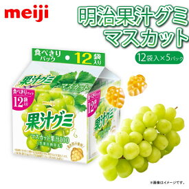 【ふるさと納税】 明治 果汁グミスマートパック マスカット 163g × 5個 グミ お菓子 おやつ フルーツ 果物 果汁 詰め合わせ 詰合せ セット まとめ買い 静岡県 藤枝市