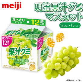 【ふるさと納税】 明治 果汁グミスマートパック マスカット 163g × 15個 グミ お菓子 おやつ フルーツ 果物 果汁 詰め合わせ 詰合せ セット まとめ買い 静岡県 藤枝市