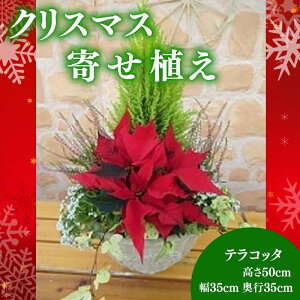 yӂ邳Ɣ[Łz |CZ`A 񂹐A  eRb^ Ԕ NX}X K[fjO ~ G߂̉ Mtg v[g p A  K[f s\ 2025N11{蔭Jn I