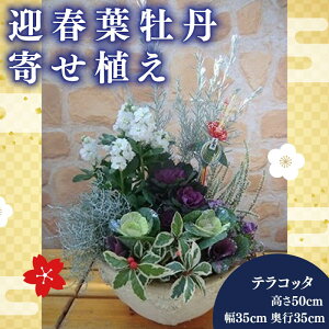yӂ邳Ɣ[Łz tO 񂹐A  eRb^ }t K[fjO ~ G   v[g Mtg A 2025N11{蔭Jn ICό Ԓd | ϗtA C