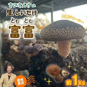 yӂ邳Ɣ[Łz ys\F2025N11ȍ~z  xxiƂނƂށj1kg ̂ ő VC^P  W[V[ ̂ É }s lC  { S S JGAPF