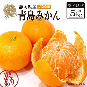 yӂ邳Ɣ[Łz y2026N1{珇z 󂠂  ݂ 5kg ƒp ݂ ʕ Y t[c k  Ԍ Gߌ 󂠂i 傫 s ~J É }s