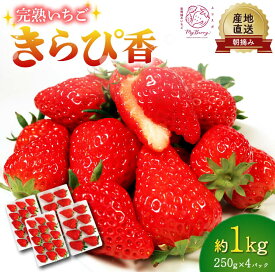 【ふるさと納税】 いちご きらぴ香 約1kg 約250g×4パック 先行予約 2026年3月-5月発送 朝どれ 完熟 苺 産地直送 フレッシュ イチゴ 贈答用 フルーツ 果物 国産 ストロベリー 季節限定 春 ギフト 贈り物 おすすめ 藤枝市 静岡県