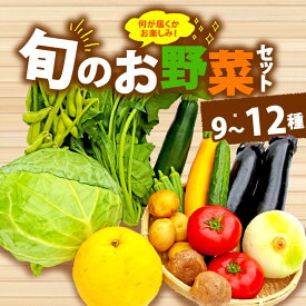 【ふるさと納税】 野菜 詰合せ 9種-12種 おまかせ 旬 まんさいかん ボックス セット おたのしみ やさい 春夏秋冬 便利 ストック 食材 お野菜 詰め合わせ 野菜詰合せ 種類いろいろ 新鮮 産地直送 農家 地元 野菜セット 季節 ベジタブル 健康 栄養 サラダ 料理 藤枝市 静岡県
