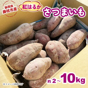 yӂ邳Ɣ[Łz ܂ g͂邩 2kg-10kg Tc}C Ă C    N ₳  2025N11  AW XC[c XC[g|eg  r^~ ~l