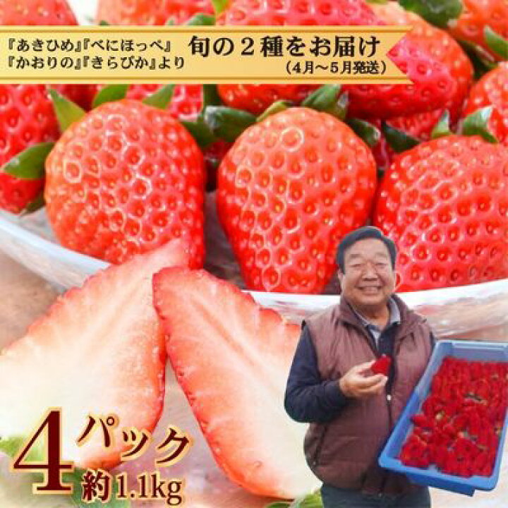楽天市場 ふるさと納税 4月 5月発送 たっぷり いちご狩り気分 2種1kg越 産地直送フレッシュいちご 果物類 いちご 苺 イチゴ 1kg お届け 23年4月上旬 5月下旬 静岡県藤枝市