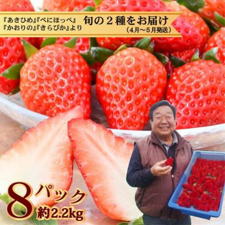 楽天市場 ふるさと納税 4月 5月発送 たっぷり いちご狩り気分 2種2kg越 産地直送フレッシュいちご 果物類 いちご 苺 イチゴ 2kg お届け 23年4月上旬 5月下旬 静岡県藤枝市