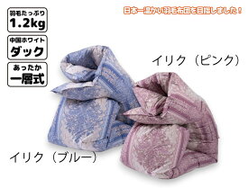 【ふるさと納税】櫻道富士山羽毛 合掛け【1合目】