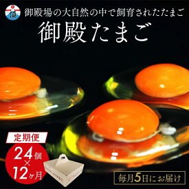 【ふるさと納税】【定期便12ヵ月】《毎月5日にお届け》御殿たまご 赤たまご 24個入（破損保障含む）もみがら入 ◇ ｜ 卵 タマゴ 玉子 たまごかけご飯 生卵 鶏卵 卵焼き 国産 東富士養鶏場 ※北海道・沖縄・離島地域への配送不可