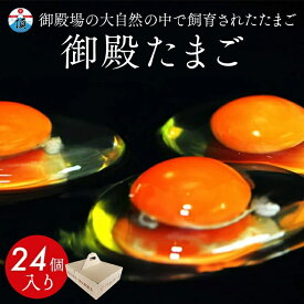 【ふるさと納税】「御殿たまご」赤たまご20個+破損保障分4個（6ヶ入P×4P） ｜ 卵 タマゴ 玉子 たまごかけご飯 生卵 鶏卵 卵焼き 国産 東富士養鶏場 寄附額 10000 10000円 1万円 以下 以内 ※北海道・沖縄・離島への配送不可