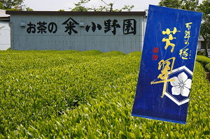 返礼品画像
